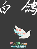 白鴿小说封面